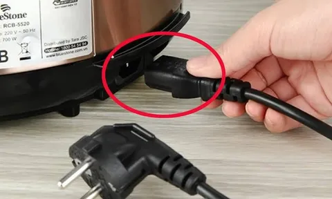 Tại sao dây nguồn của nồi cơm điện có thể rút ra rút vào, các thiết bị khác thì không?