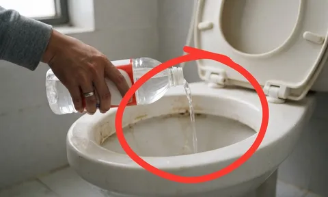 Tại sao nhiều người đổ giấm vào bồn cầu? Điều xảy ra sau 30 phút khiến bạn ngạc nhiên