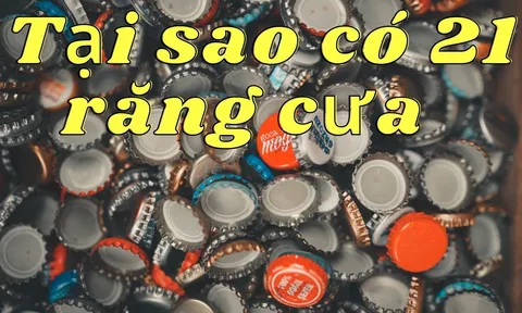 Tại sao nắp chai bia luôn có 21 răng cưa?