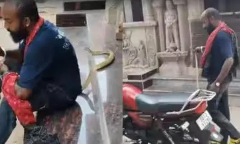 Chụp ảnh và quay video với rắn hổ mang, người đàn ông nhận cái kết đáng sợ