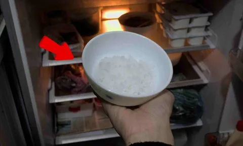 Tại sao bạn nên đặt 1 bát muối trắng vào ngăn mát tủ lạnh?