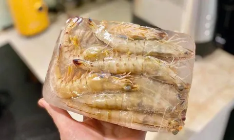 Tôm tươi mua về đừng vội cho thẳng vào tủ lạnh: Làm cách này để cả tháng tôm vẫn tươi, ngọt thịt như vừa mới mua