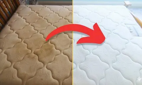 5 cách vệ sinh đệm không cần giặt: Đệm sạch thơm tho, không tốn sức