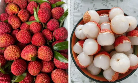 Vải rất bổ dưỡng nhưng 7 nhóm người này càng ăn nhiều càng hại sức khỏe