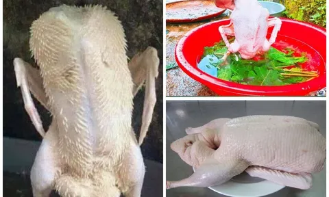 Làm thịt vịt cứ thêm 1 nắm lá này vào nước: Lông vịt sạch bong trong tích tắc, không còn lông măng