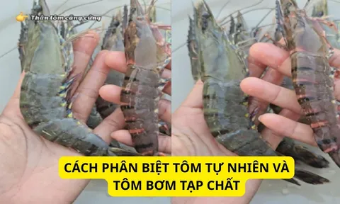 Cách phân biệt tôm tự nhiên và tôm bơm tạp chất: Cứ nhìn điểm này là biết ngay