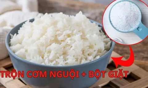 Cơm nguội đừng đổ đi, mang trộn với bột giặt: Chúng có công dụng tuyệt vời nhà nào cũng cần dùng tới