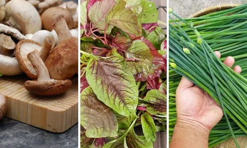 4 loại rau "bổ hơn thịt, rẻ hơn thuốc", quý như nhân sâm: Việt Nam bán đầy ngoài chợ, nhiều người không biết mà ăn
