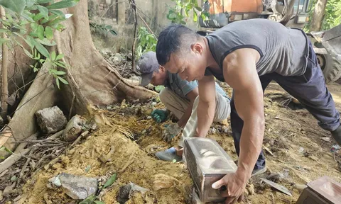 Phát hiện gần 40 hài cốt thai nhi nằm rải rác ở các gốc cây, bờ tường tại Ninh Bình