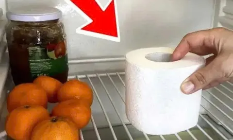 Đặt một cuộn giấy vệ sinh trong tủ lạnh: Chúng có 2 công dụng nhà nào cũng cần dùng đến