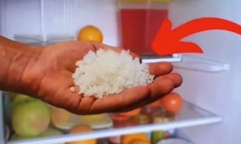 Đặt một bát muối vào tủ lạnh: Chúng có 4 lợi ích thiết thực nhà nào cũng thích