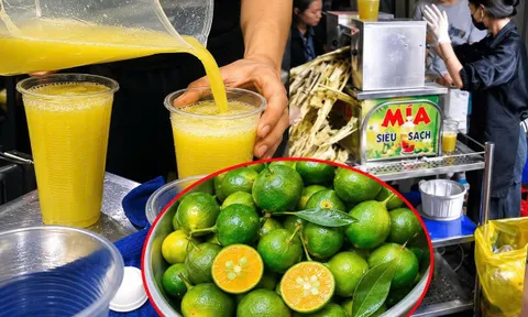 Người bán nước mía thường cho quất vào ép cùng: Vì sao?