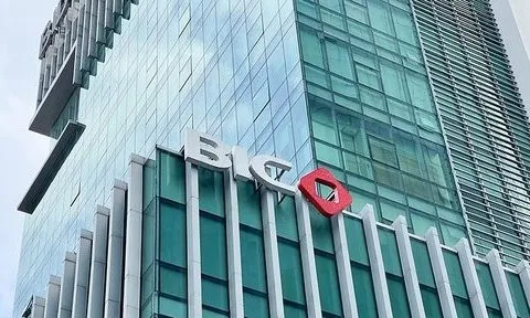 Bảo hiểm BIC báo lãi quý IV tăng đột biến nhờ đầu tư tài chính