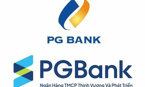 PGBank hậu đổi chủ và những bài toán khó giải từ Luật các TCTD 2024