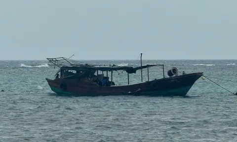 Ngư dân Quảng Ngãi phát hiện “tàu ma” trôi dạt trên biển.