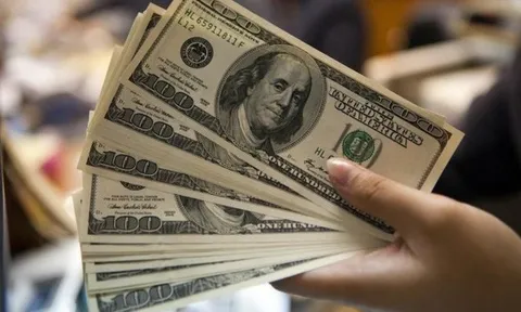 Chính sách mới quy định mức lãi suất tối đa với tiền gửi bằng đô la Mỹ từ ngày 20/11/2024