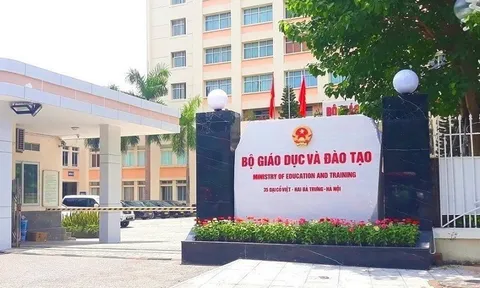 Nguyên tắc dạy thêm, học thêm? Các trường hợp không được dạy thêm, tổ chức dạy thêm?