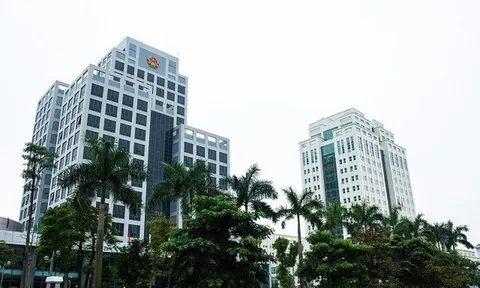 Đề xuất chính sách vượt trội về tiền lương, phụ cấp, nhà ở, điều kiện làm việc... đối với chuyên gia cao cấp