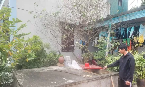 Công an điều tra vụ người đàn ông bỏ thuốc trừ cỏ vào bể nước hàng xóm