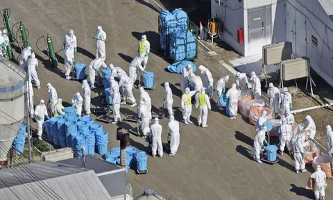 Chuyên gia cảnh báo về nguy cơ tái diễn một đại dịch tương tự COVID-19