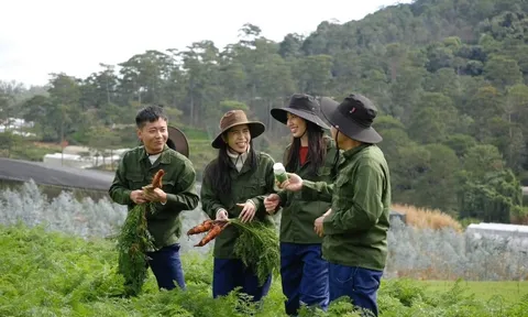 Hằng Du Mục, Quang Linh Vlogs sẽ bị xử phạt, còn Thủy Tiên thì sao?