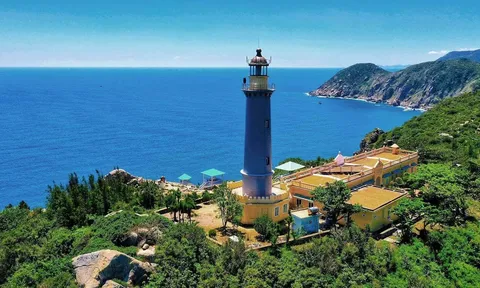 Cá voi lớn ngoi lên mặt nước tại biển Mũi Điện, tỉnh Đắk Lắk khiến nhiều người ngỡ ngàng