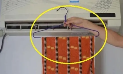 Đặt 2 vật này trong phòng điều hòa, vừa mát đều vừa tiết kiệm tiền điện mỗi tháng