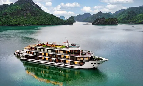 Lưu ý quan trọng giúp du khách sống sót khi tàu du lịch gặp nạn