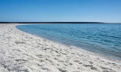 Cởi trần đi dạo biển, du khách bị lĩnh án treo