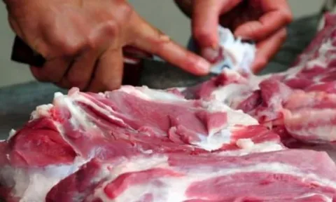 4 dấu hiệu nhận biết thịt lợn nhiễm dịch tả châu Phi bằng mắt thường