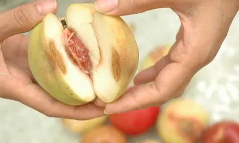 Vợ chồng buôn hoa quả mắc ung thư gan vì thói quen ăn đồ mốc