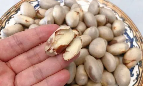 Tưởng chừng thứ bỏ đi, hạt mít lại là “vàng trong bếp” với loạt công dụng bất ngờ