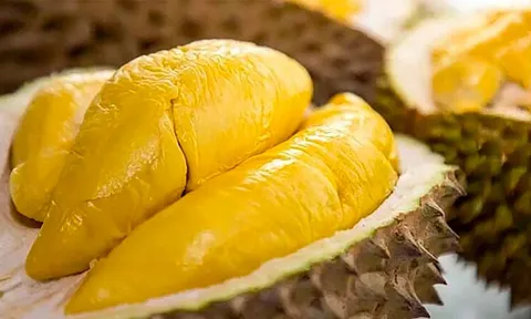 4 nhóm thực phẩm "đại kỵ" với sầu riêng cần tránh để bảo vệ sức khỏe