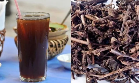 4 lỗi khi uống nước nhân trần khiến công dụng tan biến