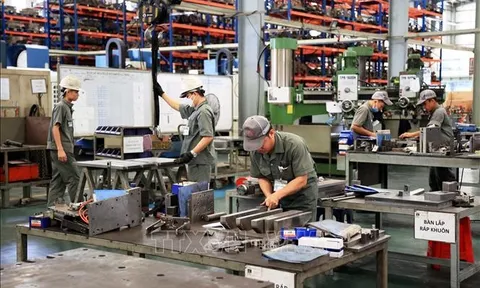 Thực hiện Nghị quyết 68: 'Không tô hồng' và phải 'đong, đếm được'