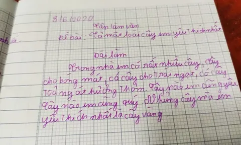 Bài văn tả loài cây yêu thích gây bão mạng: Chỉ 3 câu, cú bẻ lái cuối khiến ai cũng muốn “gieo hạt” ngay lập tức