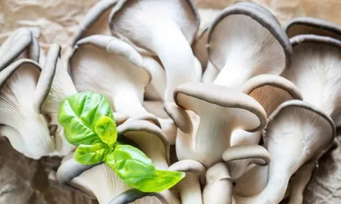 Ăn gì để bù kali khi ra mồ hôi nhiều? Gợi ý 5 thực phẩm bình dân