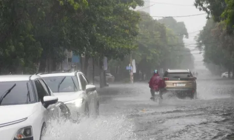 Tin bão mới nhất: Tâm bão áp sát ven biển Nghệ An - Hà Tĩnh, giật cấp 12, quật ngã cây xanh, tốc mái nhà