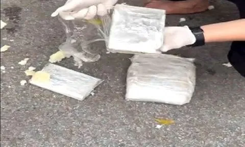 Triệt phá đường dây ma túy xuyên quốc gia từ Lào về Việt Nam