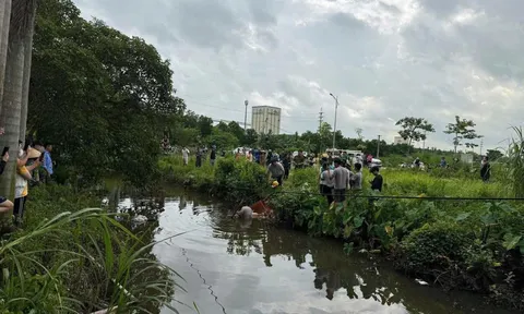 Vụ phát hiện thi thể 2 anh em ở dưới ao và trong phòng trọ: Nghi phạm là bà nội