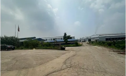 Không có giấy phép môi trường, Hợp tác xã sản xuất giấy Phù Ninh bị phạt 320 triệu đồng