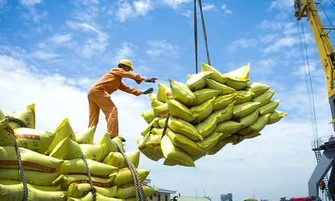 Xuất khẩu gạo Việt Nam trước động thái từ Philippines: Ổn định và chủ động ứng phó