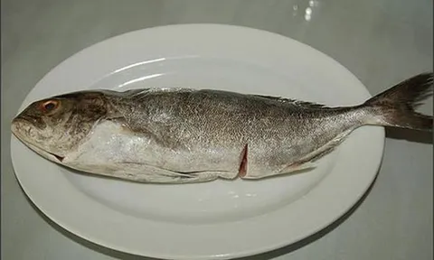 Loại cá nghe tên 'ngượng đỏ mặt' nhưng hương vị thì ai nếm cũng ghiền