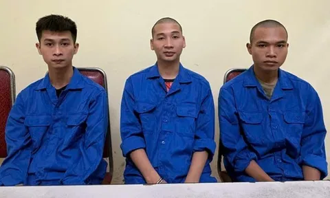 Bắt giữ Đàm Ích Mạnh và ổ nhóm trộm cắp xe máy liên tỉnh