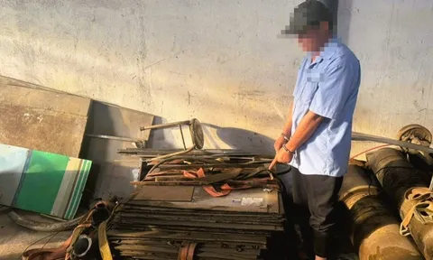 Bàn giao Mai Trọng Long cho công an để làm rõ hành vi lạm dụng tín nhiệm chiếm đoạt tài sản