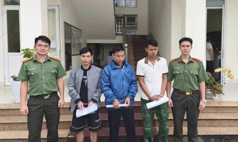 Bắt quả tang Lục Trần Hiệp và phát lộ đường dây tổ chức nhập cảnh trái phép