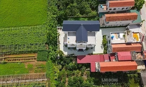 Từ 01/01/2026, các đối tượng nào được miễn thuế sử dụng đất nông nghiệp