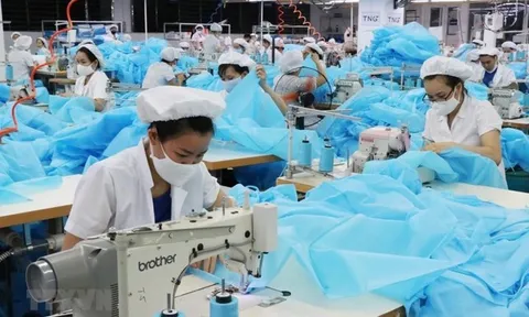 Người lao động tự ý nghỉ không lương sẽ bị xử lý như thế nào?