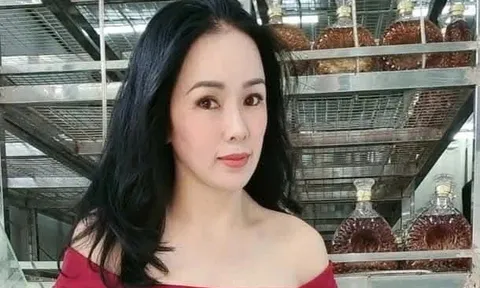 Lịch xét xử dự kiến vụ YouTuber Đinh Thị Lan xúc phạm vợ chồng bà Nguyễn Phương Hằng