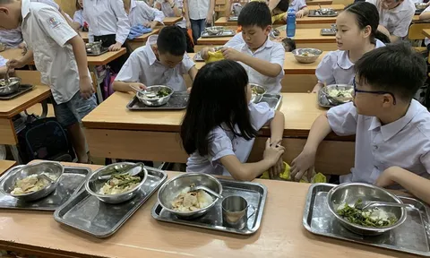 Cơ sở hướng dẫn dinh dưỡng cho các bữa ăn học đường có gì đặc biệt?